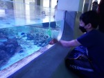 111.03.30智能海科館-六年級:20220330_091510