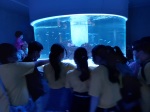111.03.30智能海科館-六年級:20220330_092347